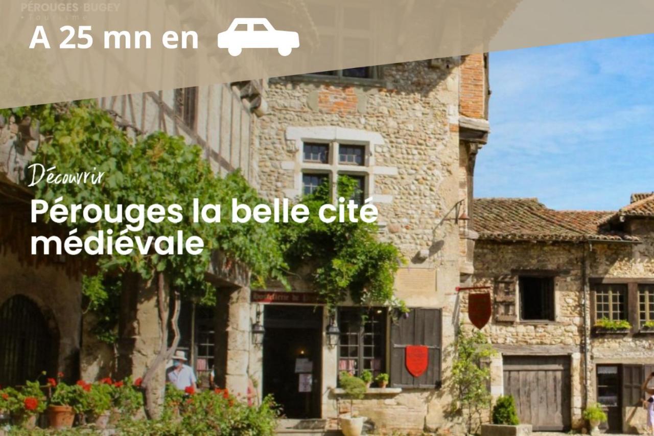L'Emeraude - 1 A 4P - Wifi Fibre - Parking Gratuit Pont-dʼAin Exterior foto