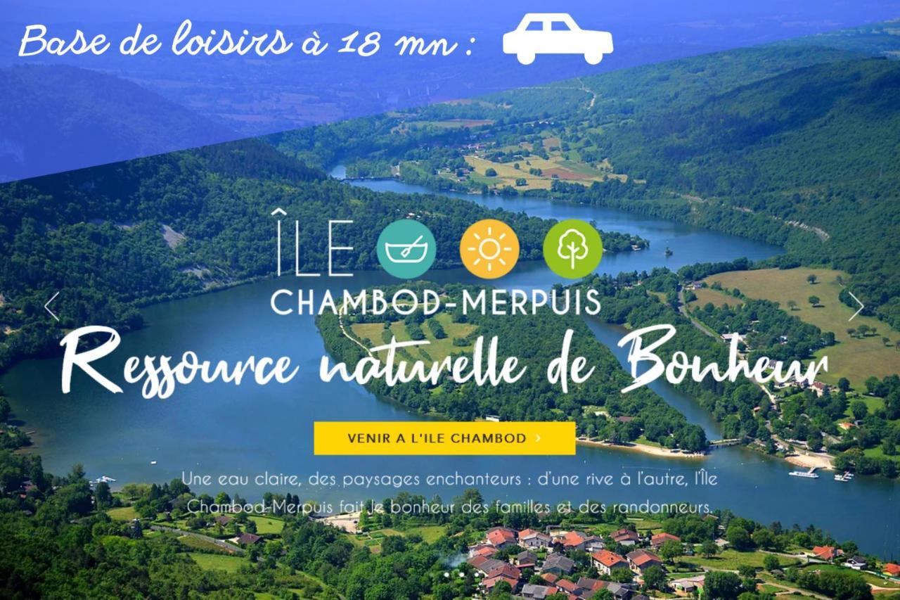 L'Emeraude - 1 A 4P - Wifi Fibre - Parking Gratuit Pont-dʼAin Exterior foto