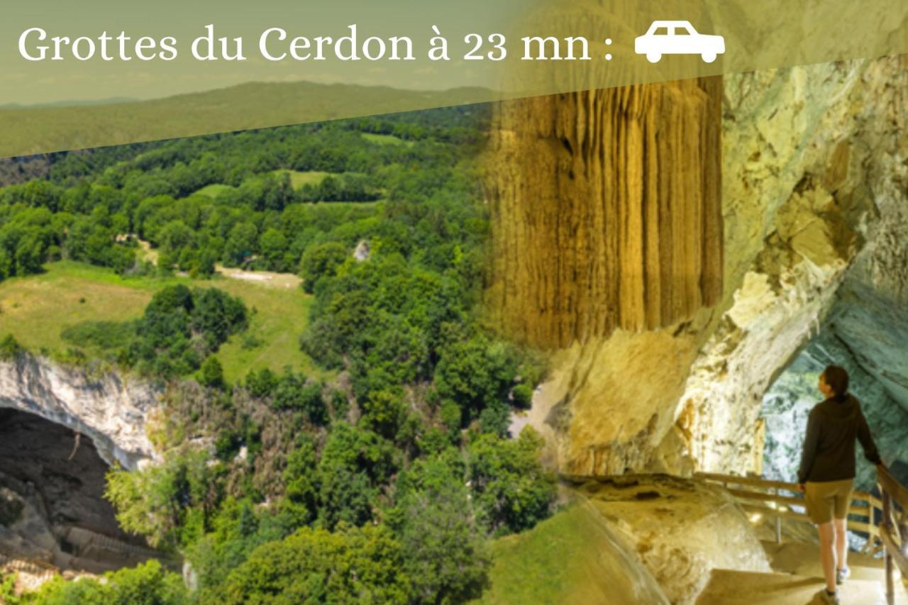 L'Emeraude - 1 A 4P - Wifi Fibre - Parking Gratuit Pont-dʼAin Exterior foto